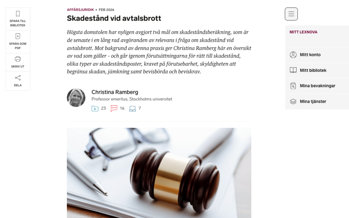 Skärmdump: Expertkommentarer